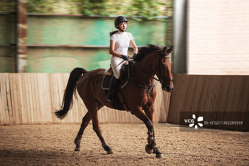 场内骑马奔跑的年轻女子图片素材
