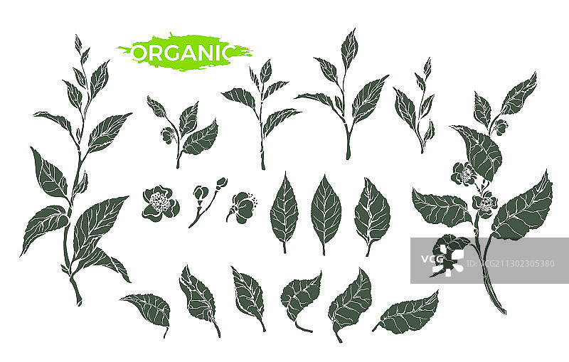 茶具套装草图3图片素材