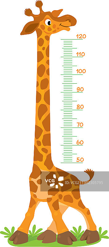 长颈鹿身高测量墙贴或身高图图片素材