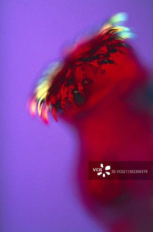 显示钩虫头部的光学显微镜图图片素材