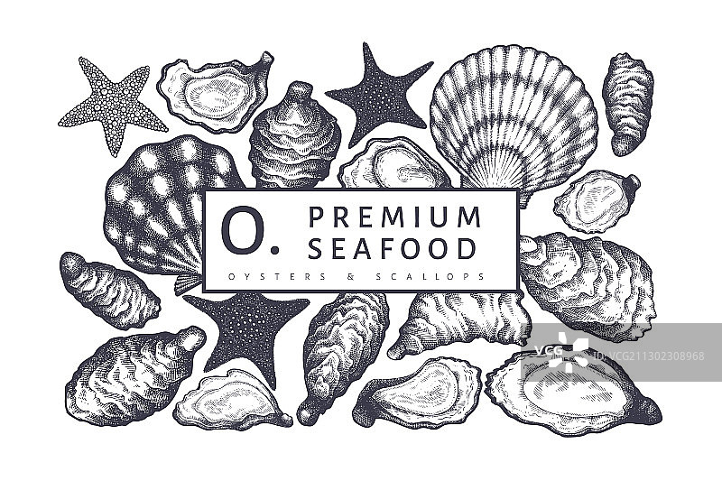 手绘海鲜牡蛎设计模板图片素材