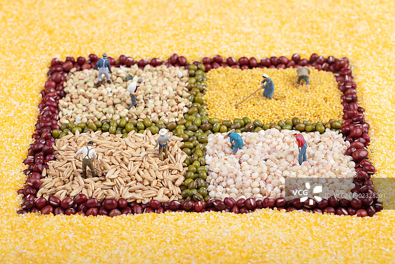 五谷杂粮高组成汉字田务农的农民图片素材