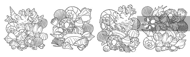 贝壳组合图片素材