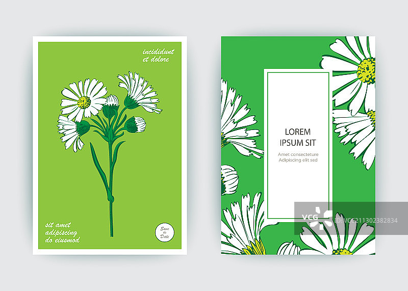 手绘特写菊花艺术图片素材