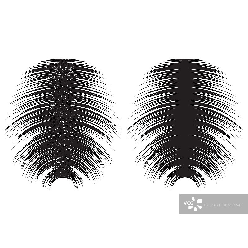 头皮屑改善图片素材