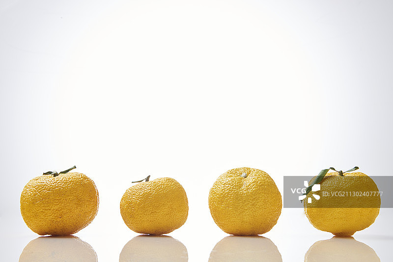 白色背景上，四个带叶香橼一字排开图片素材