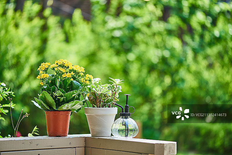 庭院中花盆旁边的浇水壶图片素材
