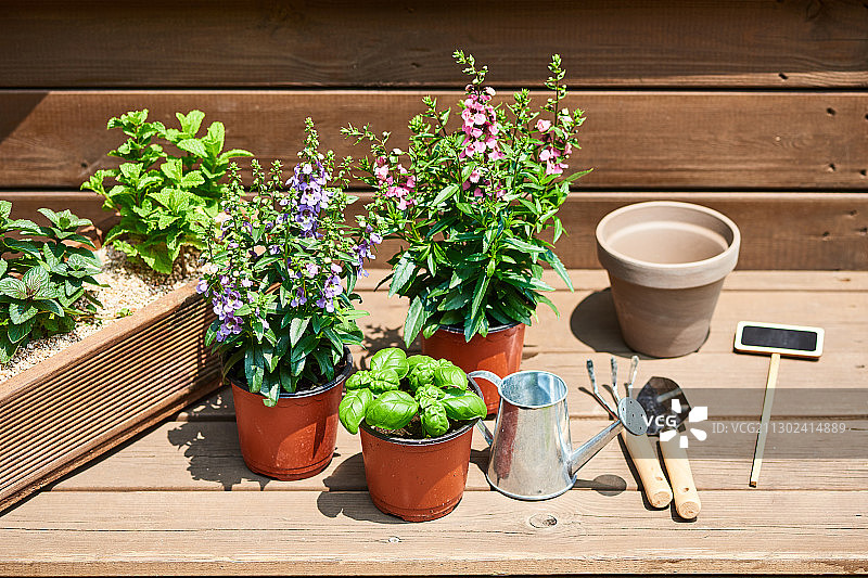 长椅上的花盆和园艺设备图片素材