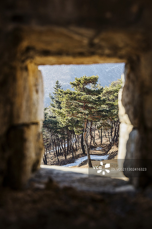 透过防御墙看到的树木景观图片素材