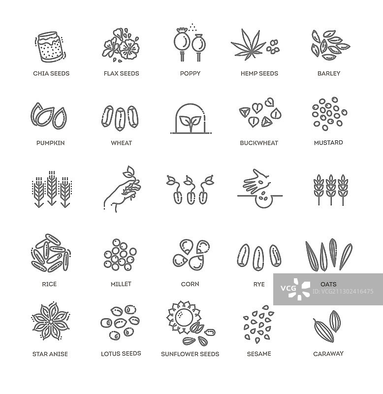 植物种子图标集图片素材