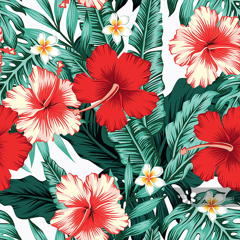 白色背景上的热带树叶花卉无缝图案图片素材