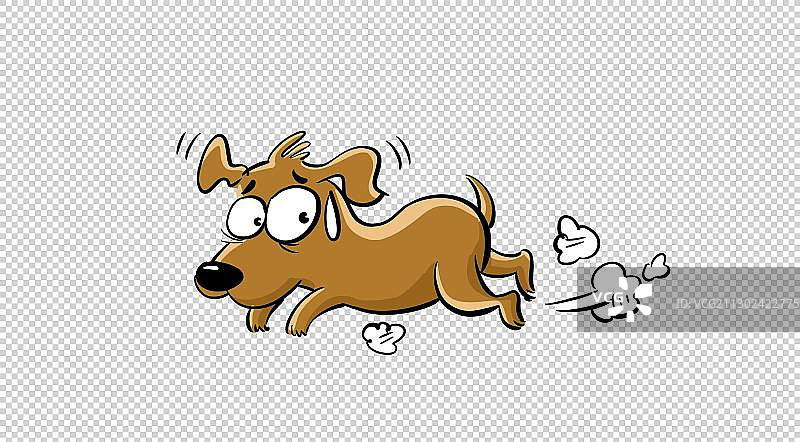 一只逃跑的小狗图片素材