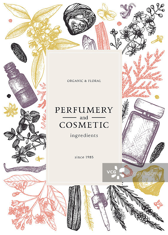 手绘香水和化妆品成分图片素材