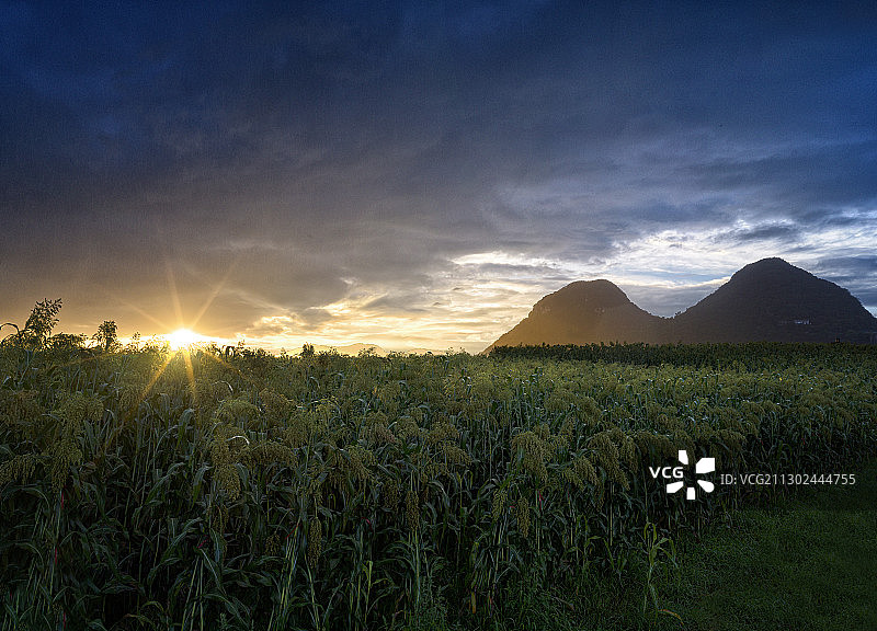 中国，云南省，罗平县，金鸡峰丛图片素材