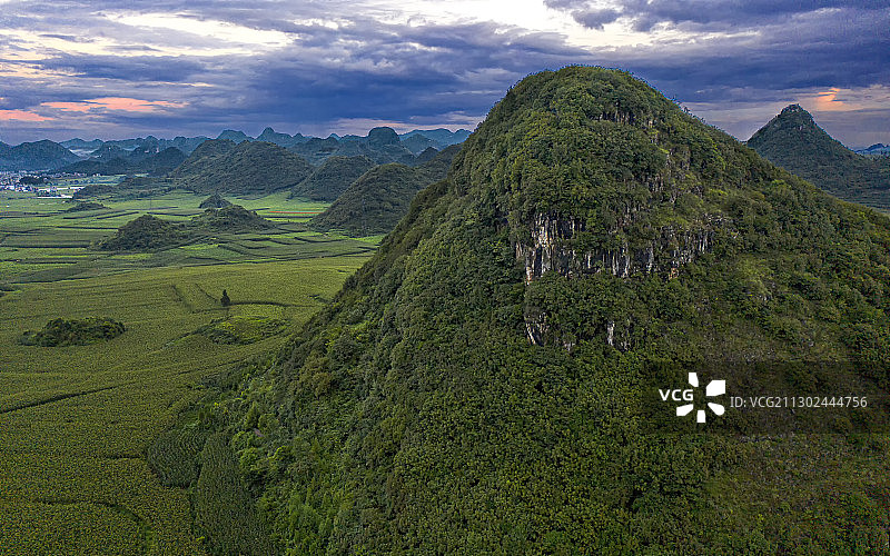 中国，云南省，罗平县，金鸡峰丛图片素材