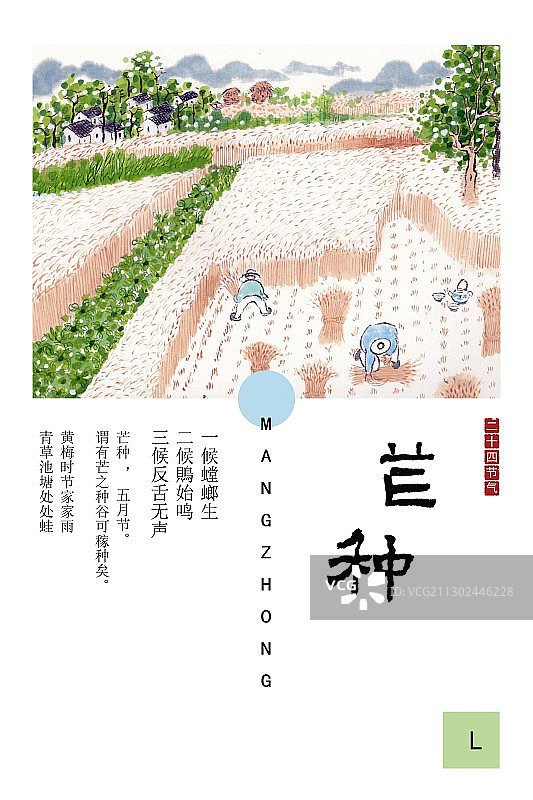 中国风水墨节气插画海报芒种图片素材