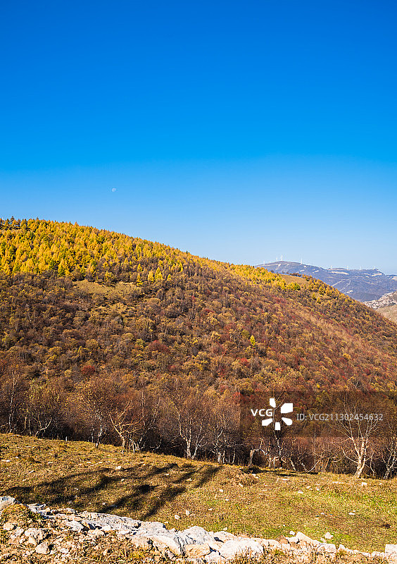 张家口蔚县茶山之秋图片素材