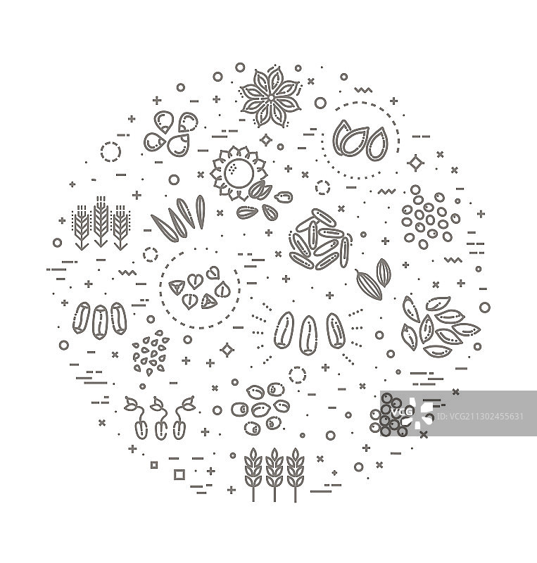 植物种子图标集图片素材