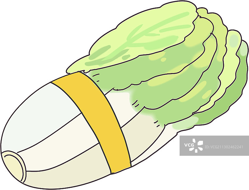 插画：一颗白菜图片素材