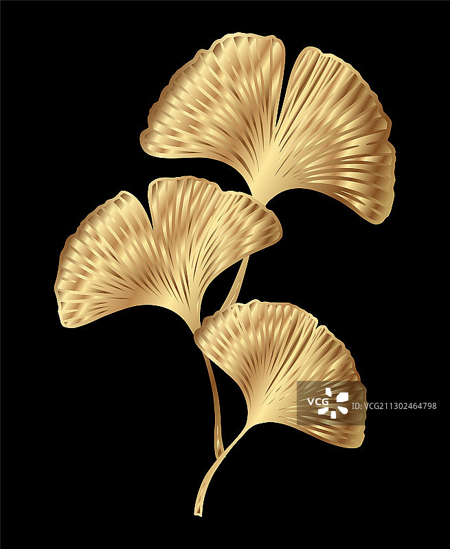 金色银杏树枝与树叶图片素材