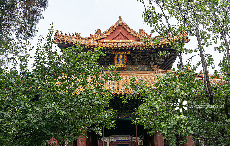 曲阜孔庙杏坛图片素材