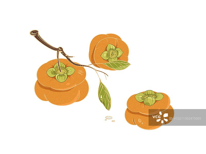 国风插画柿子事事如意图片素材