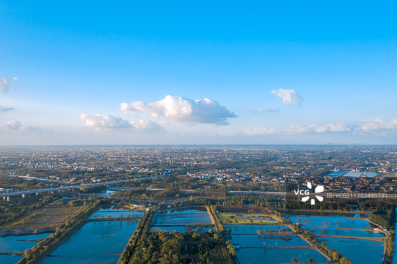 上海市长兴岛湿地公园图片素材