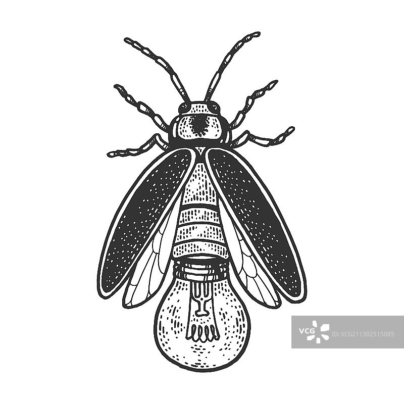 带灯泡的萤火虫素描图片素材
