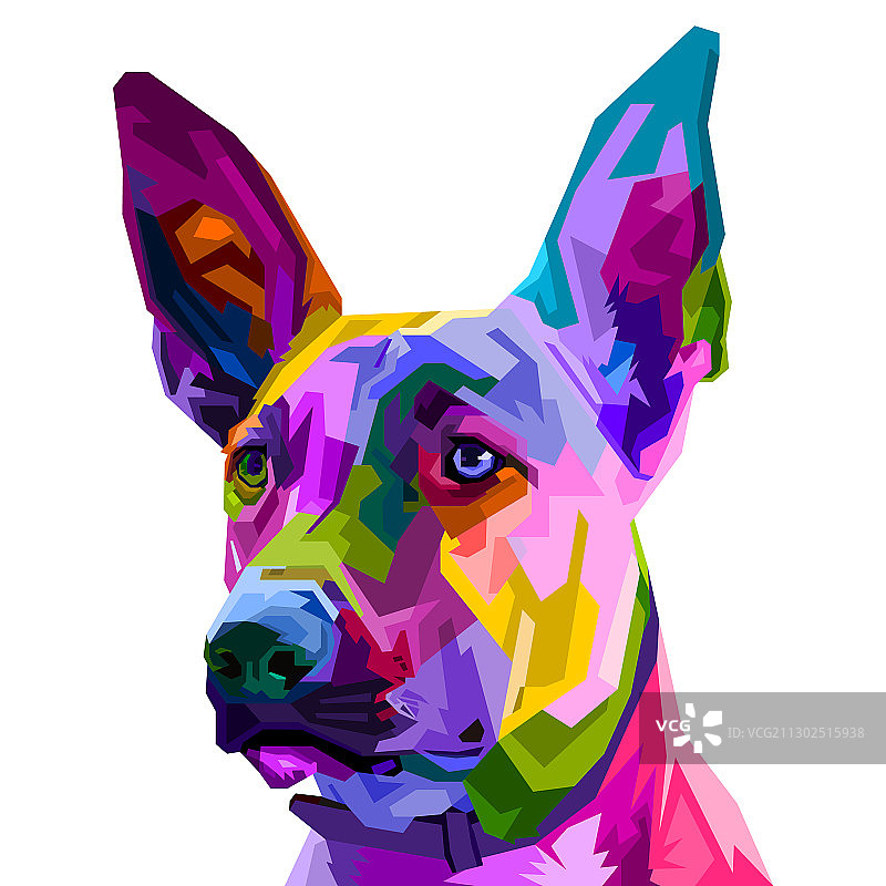 波普艺术中色彩鲜艳的比利时马里诺犬图片素材