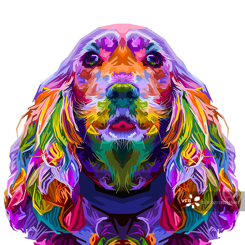 波普艺术风格的彩色可卡犬图片素材