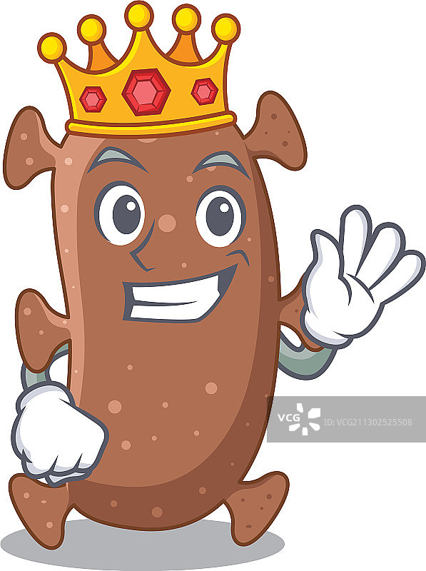 睿智国王的以色列放线菌吉祥物设计图片素材