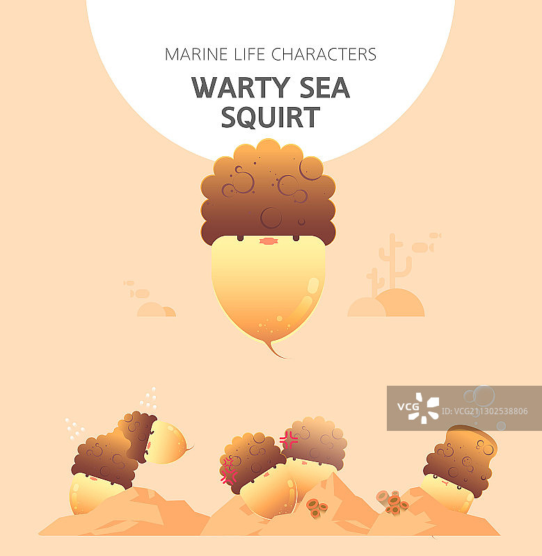 疣海鞘卡通形象图片素材