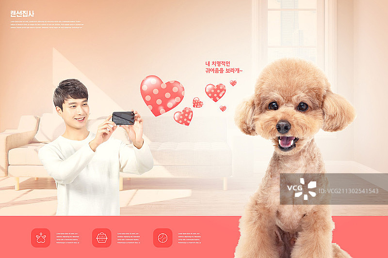 男人用手机给可爱的狗拍照图片素材