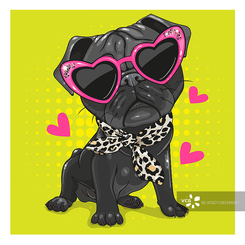 戴粉色眼镜和围巾的黑色巴哥犬图片素材