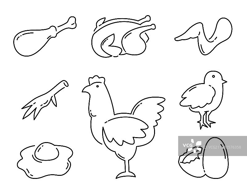 鸡肉产品食品线性图标集图片素材