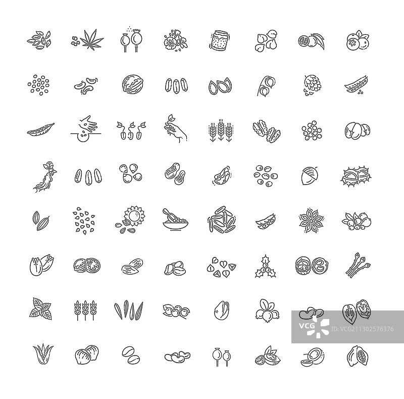 种子和坚果图标集图片素材