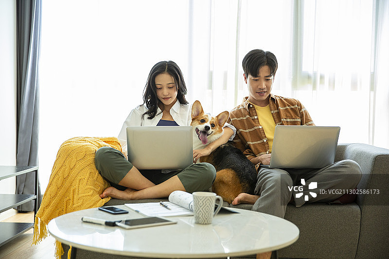 年轻情侣居家远程办公和与小狗嬉戏图片素材