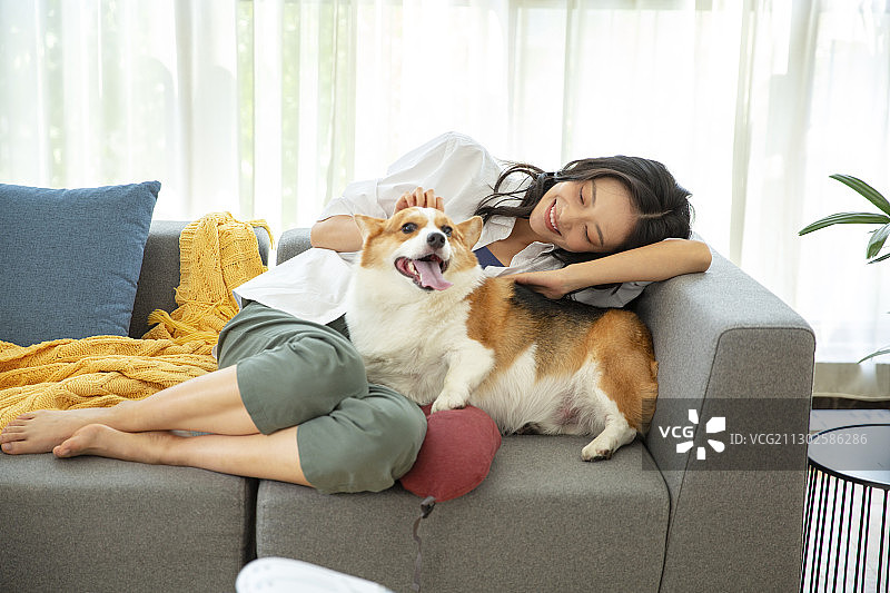 年轻女子在客厅远程办公和小狗嬉戏打闹图片素材