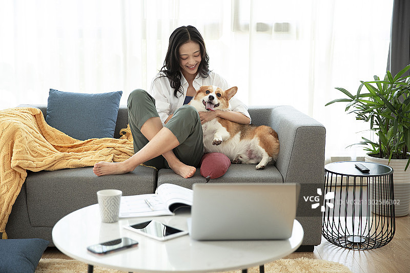 年轻女子在客厅远程办公和小狗嬉戏打闹图片素材