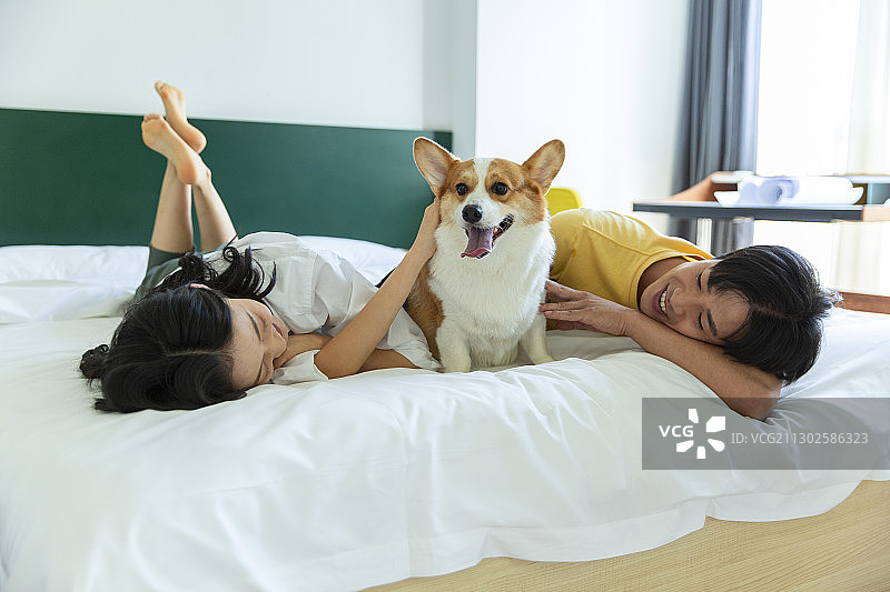 年轻情侣在卧室和小狗嬉戏玩耍图片素材