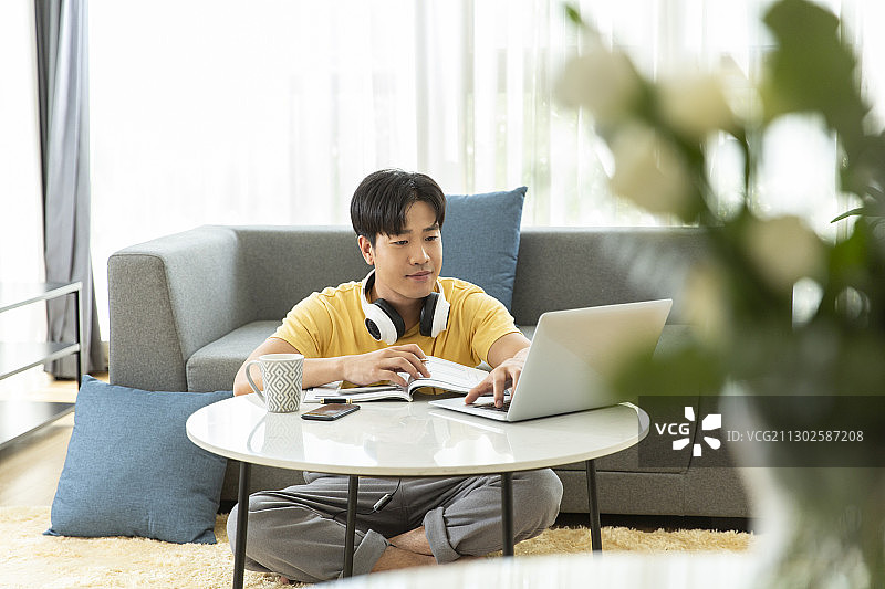 青年男子在客厅使用笔记本电脑居家远程办公图片素材