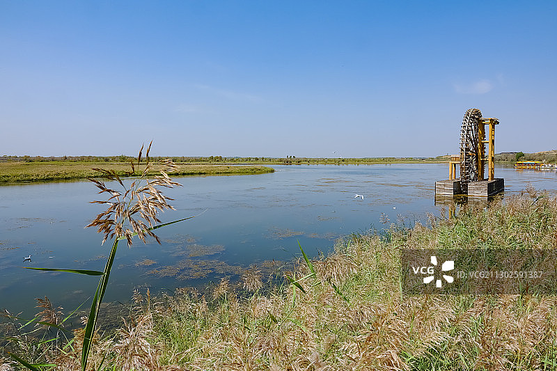 宁夏黄沙古渡国家湿地公园图片素材