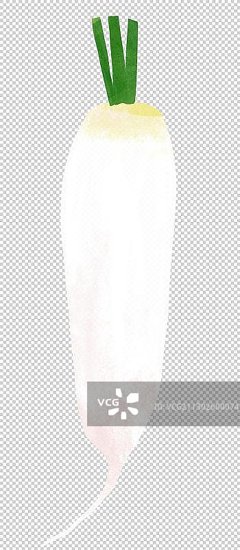 白萝卜蔬菜插图手绘元素图片素材