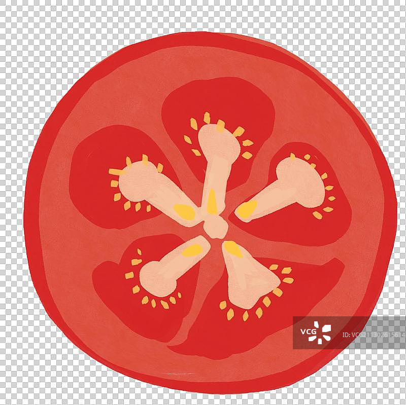 西红柿插图手绘特写图片素材
