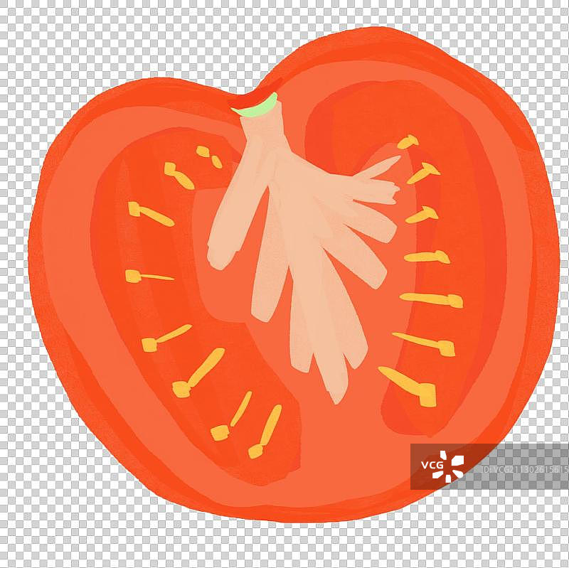 西红柿插图手绘特写图片素材