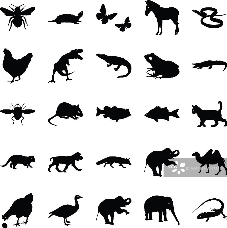 野生动物图标图片素材