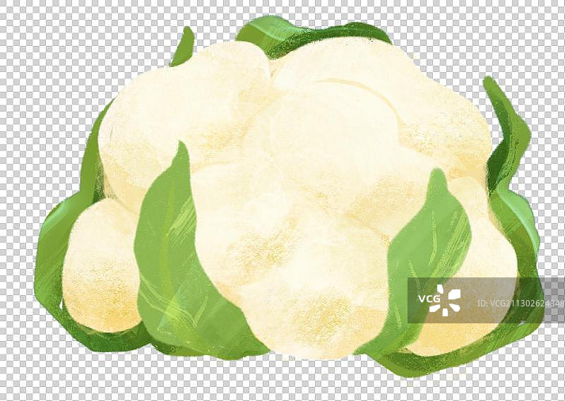 蔬菜菜花花椰菜插图图片素材