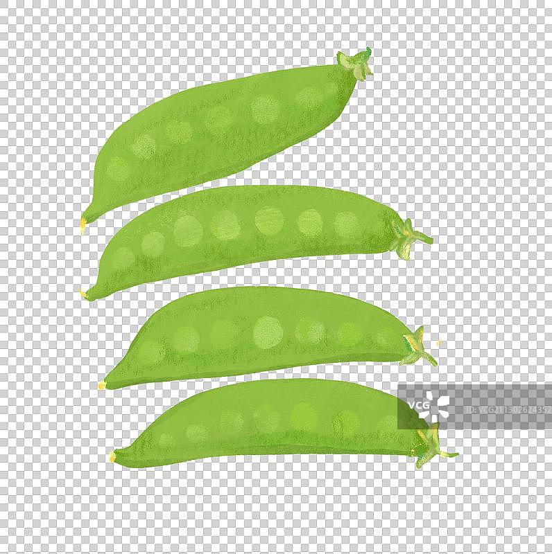 蔬菜瓜果插图图片素材