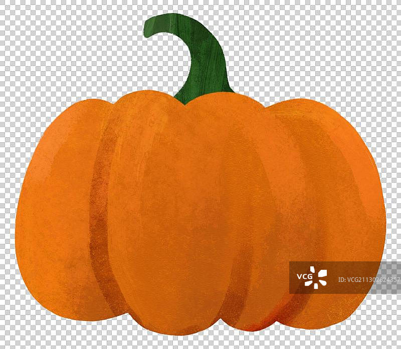 蔬菜瓜果南瓜插图图片素材