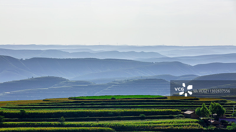 晨曦载曜图片素材